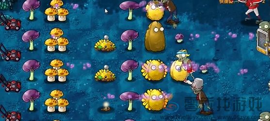 《植物大战僵尸融合版》冒险模式第10关通关攻略(图5)