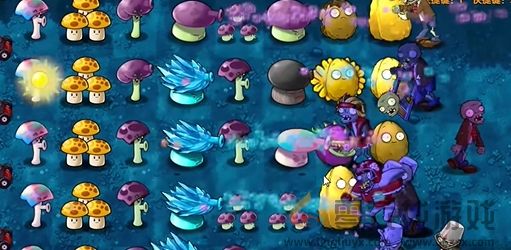《植物大战僵尸融合版》冒险模式第11关通关攻略(图6)