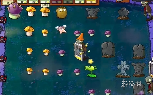 植物大战僵尸抽卡版冒险模式2-4怎么过(图4) 植物大战僵尸抽卡版冒险模式2-4怎么过(图4)