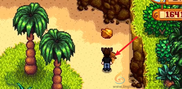 星露谷物语姜岛北部金核桃在哪(图6) 星露谷物语姜岛北部金核桃在哪(图6)