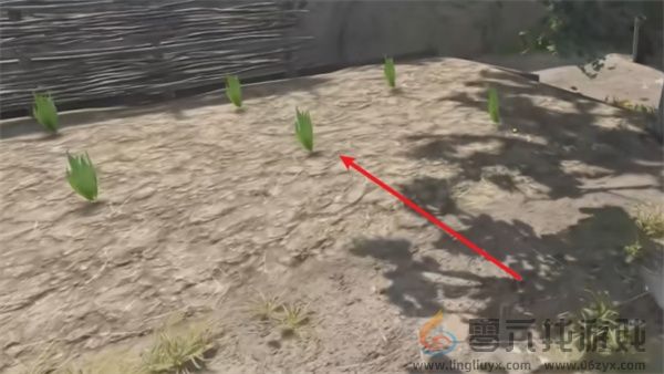 天国拯救2酒后吐真言支线任务攻略分享(图10) 天国拯救2酒后吐真言支线任务攻略分享(图10)