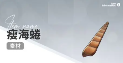 开放空间赶海物什么时候出现(图6)